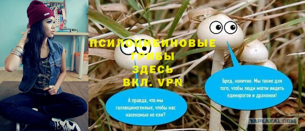 каннабис Арсеньев