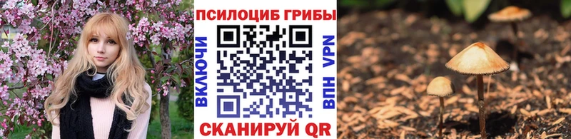 наркотики  Светлоград  Галлюциногенные грибы мицелий 